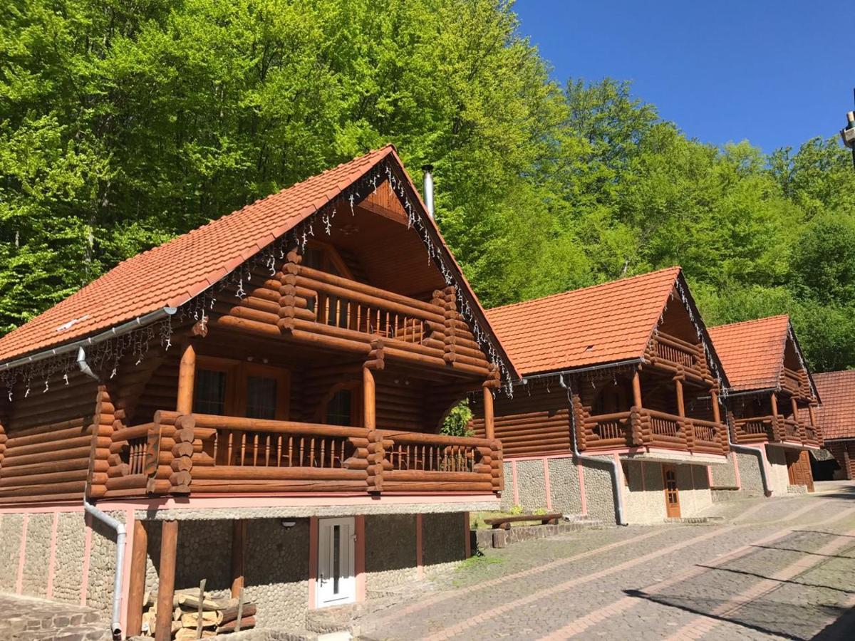 Toursit Complex Polyana Kvasova Hotel Екстериор снимка