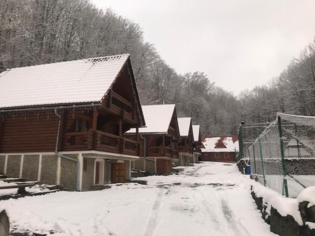 Toursit Complex Polyana Kvasova Hotel Екстериор снимка